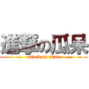 進撃の瓜呆 (attack on titan)