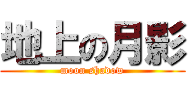地上の月影 (moon shadow)