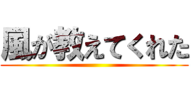 風が教えてくれた ()