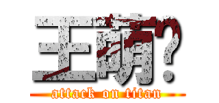王萌阳 (attack on titan)
