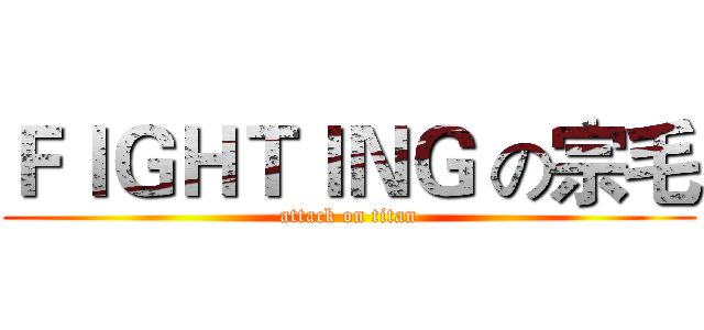 ＦＩＧＨＴＩＮＧ の宗毛 (attack on titan)