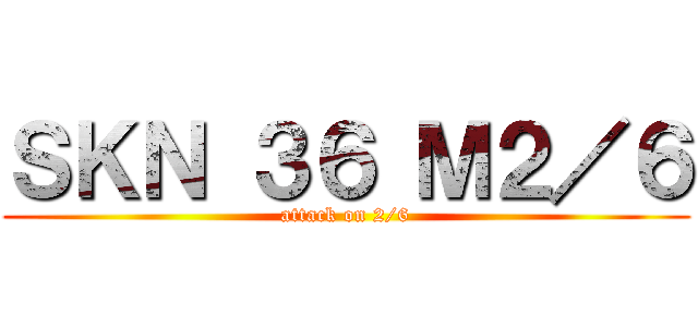 ＳＫＮ ３６ Ｍ２／６ (attack on 2/6)