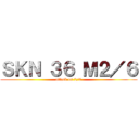 ＳＫＮ ３６ Ｍ２／６ (attack on 2/6)