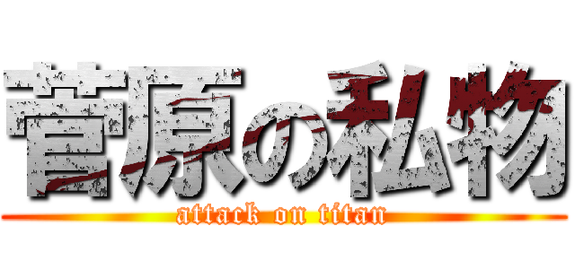 菅原の私物 (attack on titan)