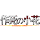 作死の小花 (attack on titan)
