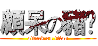 頗呆の豬❀ (attack on titan)
