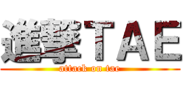 進撃ＴＡＥ (attack on tae)