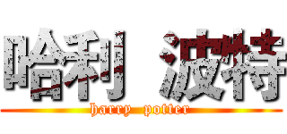 哈利  波特 (harry  potter)