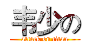 韦少の (attack on titan)