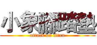 小象腳踏墊 (attack on titan)