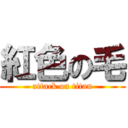 紅色の毛 (attack on titan)