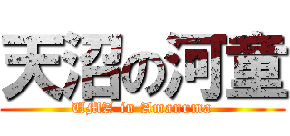 天沼の河童 (UMA in Amanuma)