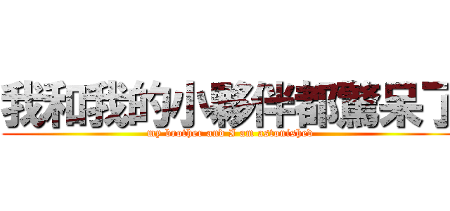 我和我的小夥伴都驚呆了 (my brother and I am astonished)