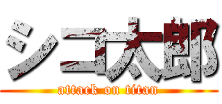 シコ太郎 (attack on titan)