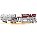 寺嶋の巨根 (attack on tinko)