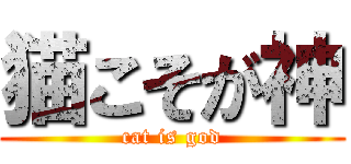 猫こそが神 (cat is god)