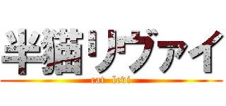 半猫リヴァイ (cat  levi)