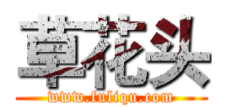 草花头 (www.fuliqu.com)