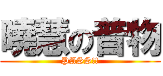 曉慧の普物 (PASS!!)