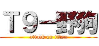 Ｔ９－野狗 (attack on titan)