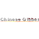 Ｃｈｉｎｅｓｅ Ｇｉｂｂｅｒｉｓｈ (Attack on Kenian)