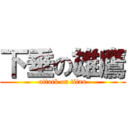 下垂の雄鷹 (attack on titan)