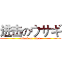 进击のウサギ (attack on titan)