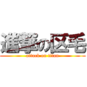 進撃の区毛 (attack on titan)