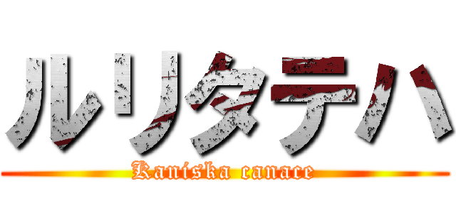 ルリタテハ (Kaniska canace)