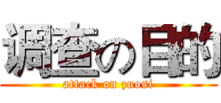 调查の目的 (attack on zuosi)