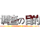 调查の目的 (attack on zuosi)