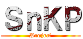 ＳｎＫＰ (Project)