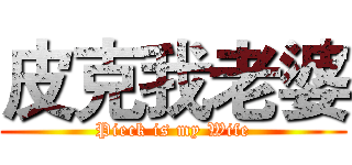 皮克我老婆 (Pieck is my Wife)