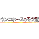 ウンコホースのモツ煮 ()