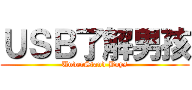 ＵＳＢ了解男孩 (UnderStand Boys)
