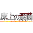 床上の萊茵 (attack on titan)