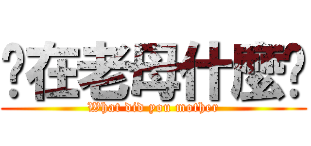 您在老母什麼啦 (What did you mother)