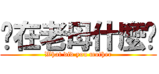您在老母什麼啦 (What did you mother)