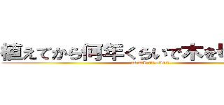 植えてから何年くらいで木を切るのか？ (attack on titan)