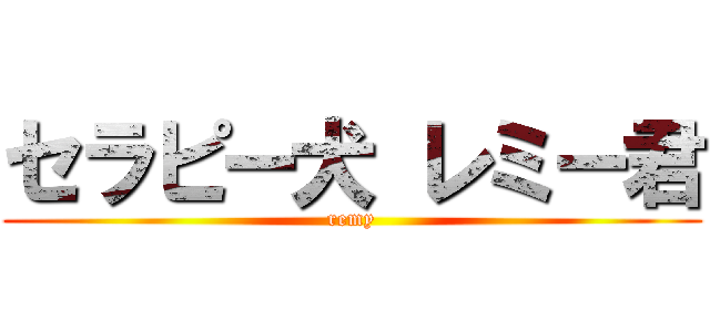 セラピー犬 レミー君 (remy)