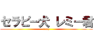 セラピー犬 レミー君 (remy)