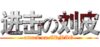 进击の刘皮 (attack on ERMAO)
