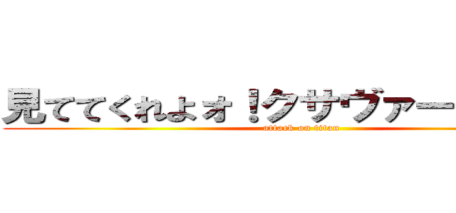 見ててくれよォ！クサヴァーサァン？ (attack on titan)