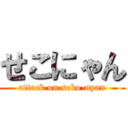 せこにゃん (attack on seko-nyan)