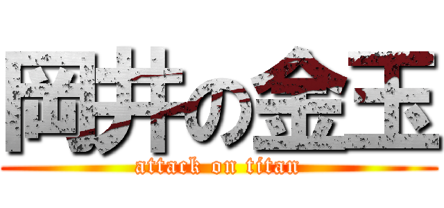 岡井の金玉 (attack on titan)