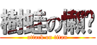 樹蛙の懶趴 (attack on titan)