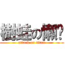 樹蛙の懶趴 (attack on titan)