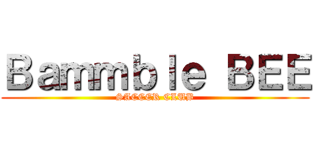 Ｂａｍｍｂｌｅ ＢＥＥ (SACCER CLUB)