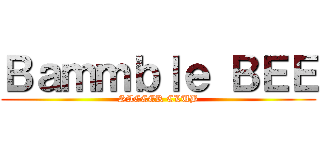 Ｂａｍｍｂｌｅ ＢＥＥ (SACCER CLUB)