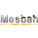 Ｍｅｓｂａｈ ()